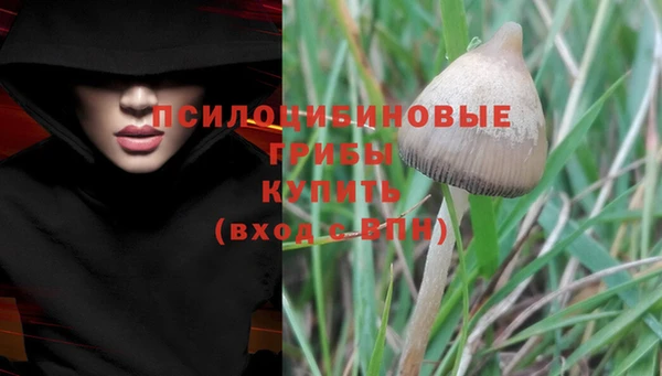 mdpv Балахна