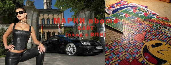 прущие грибы Беломорск
