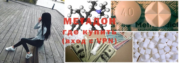 прущие грибы Беломорск