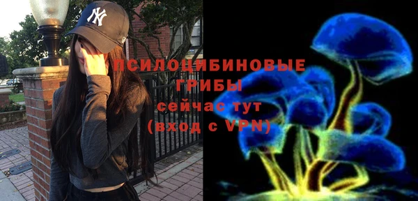 apvp Белокуриха