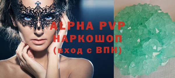 прущие грибы Беломорск