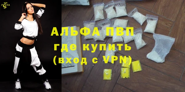 прущие грибы Беломорск